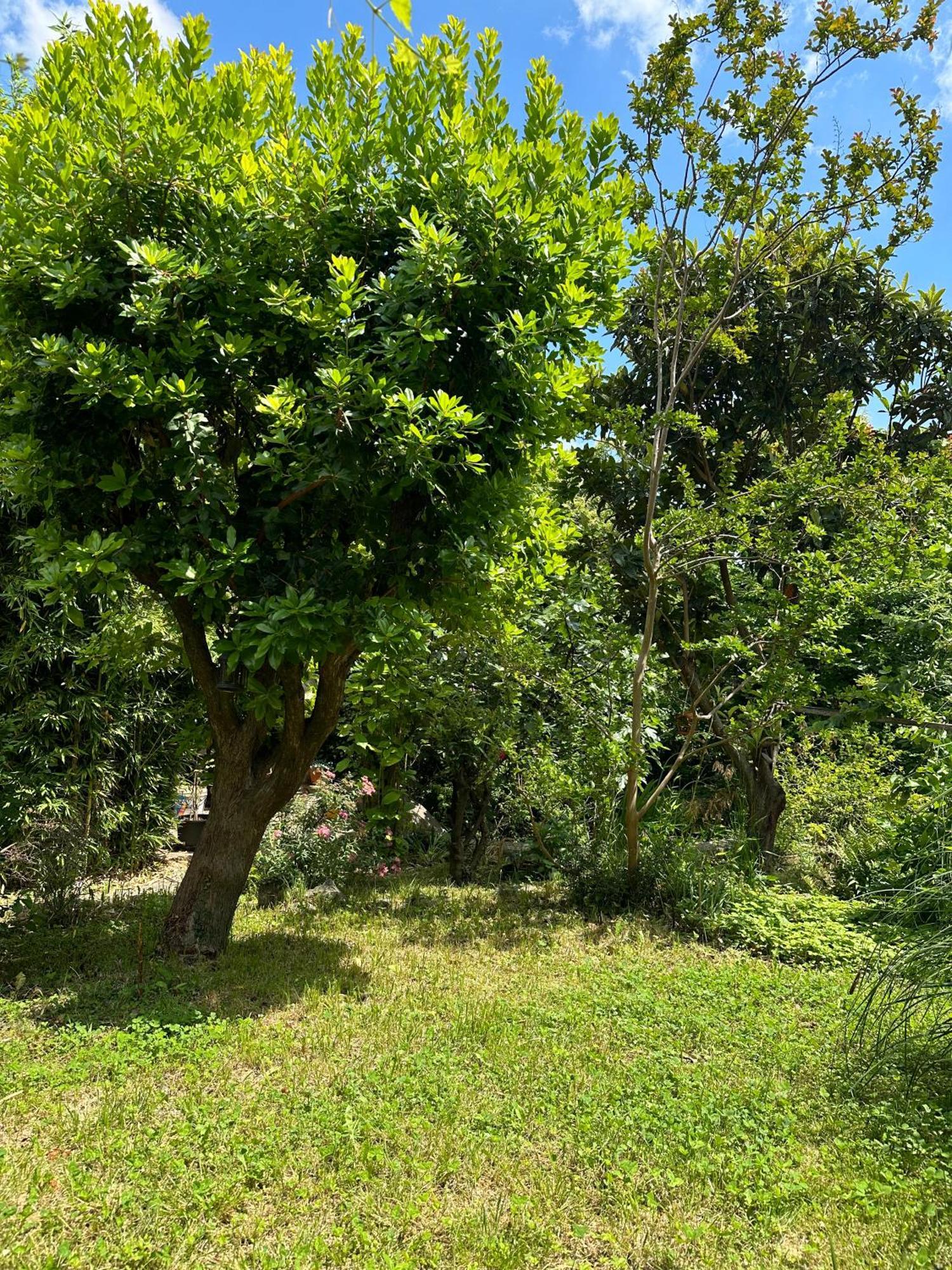 Secret Garden House Apartment Lovran Ngoại thất bức ảnh